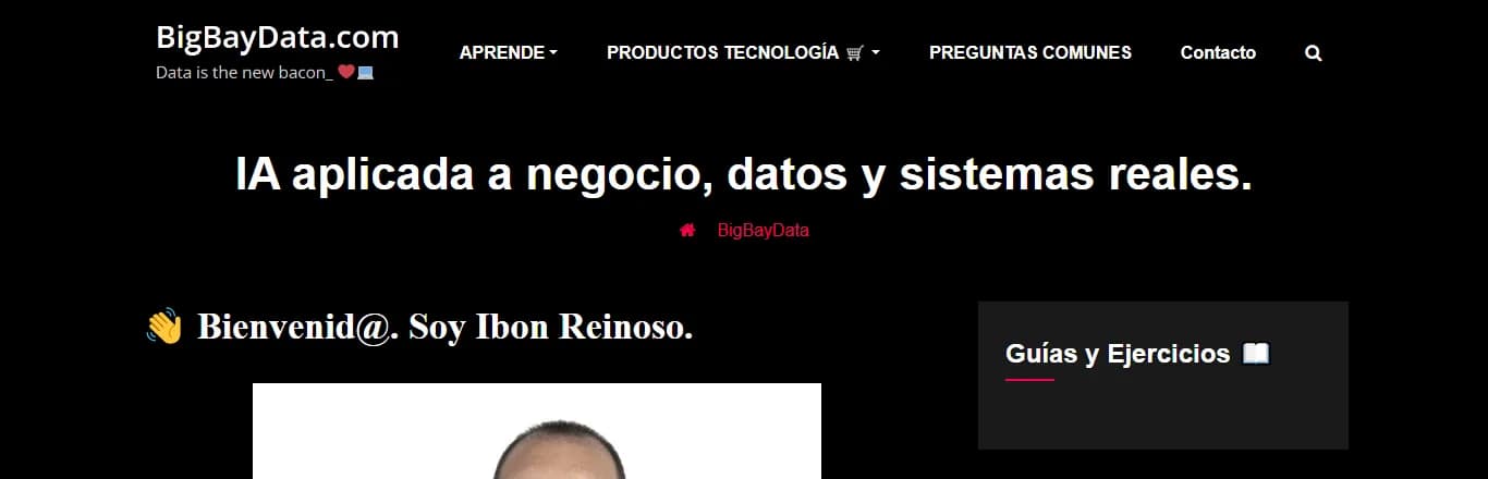 Web de BigBayData diseñada por MuySEO