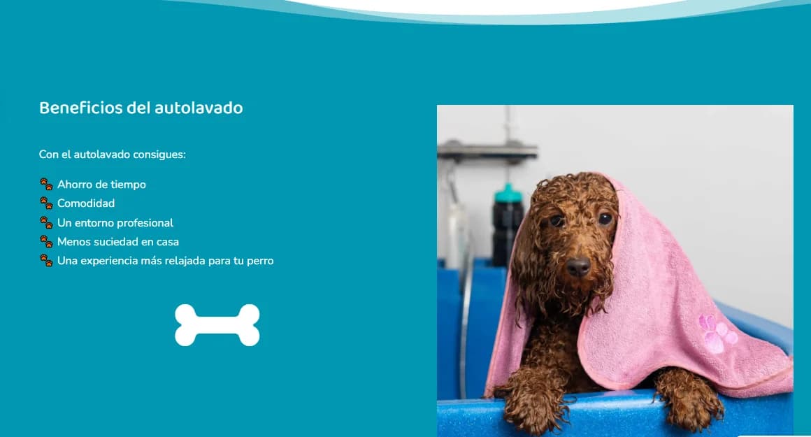 Página de autolavado de mascotas de Sarucan en Vitoria