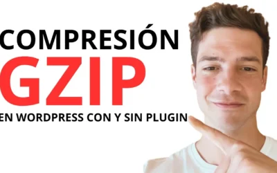 Comprimir archivos html, css y js con GZIP en WordPress