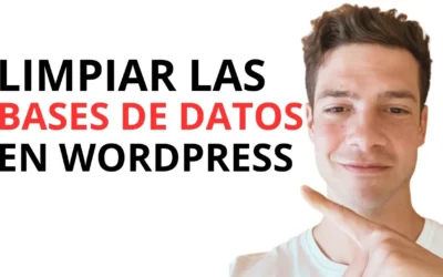 Cómo Limpiar la Base de Datos en WordPress