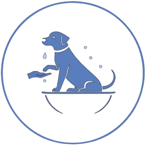 leboutique107 logo